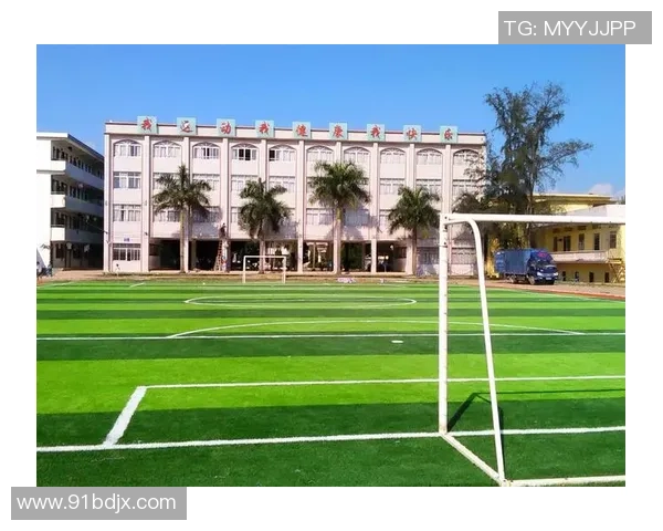 杨强独家解析足球技战术与心得体会助你提升球场表现