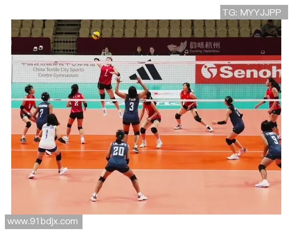 杭州排球队配合技巧深度解析与对比分析